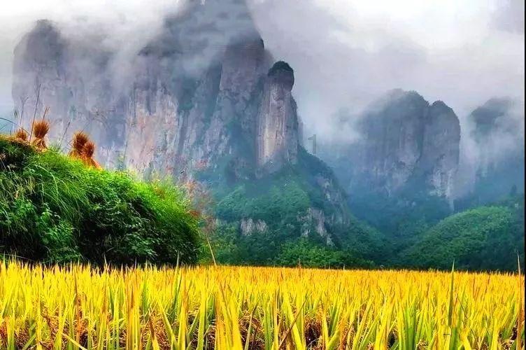 方根书简